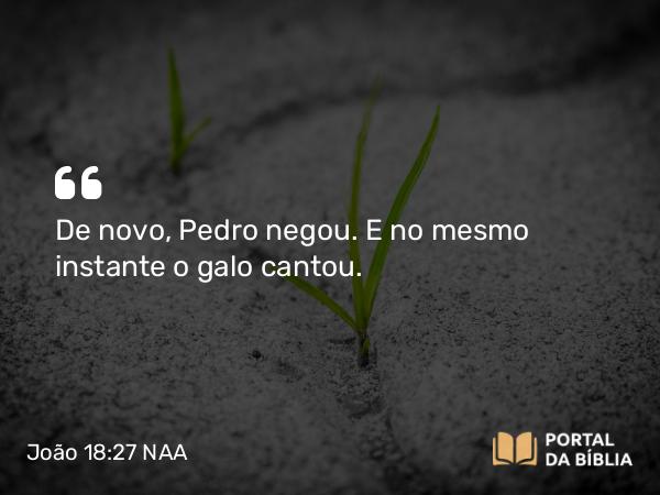 João 18:27 NAA - De novo, Pedro negou. E no mesmo instante o galo cantou.