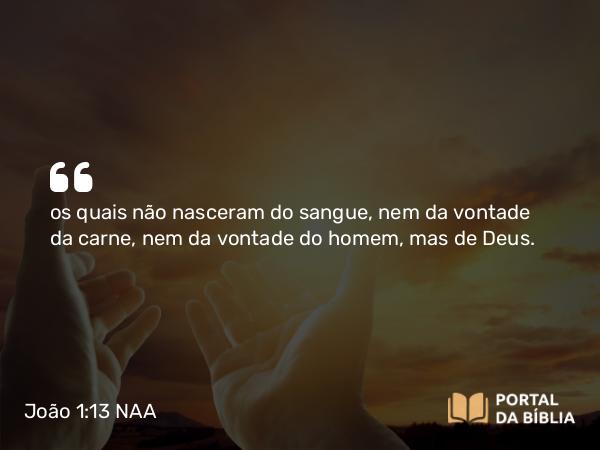 João 1:13 NAA - os quais não nasceram do sangue, nem da vontade da carne, nem da vontade do homem, mas de Deus.