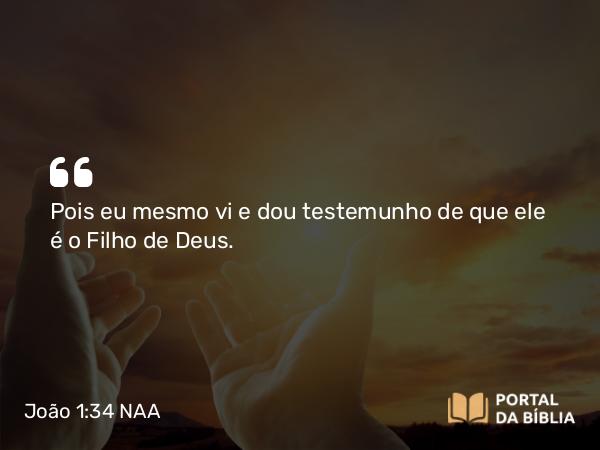 João 1:34 NAA - Pois eu mesmo vi e dou testemunho de que ele é o Filho de Deus.