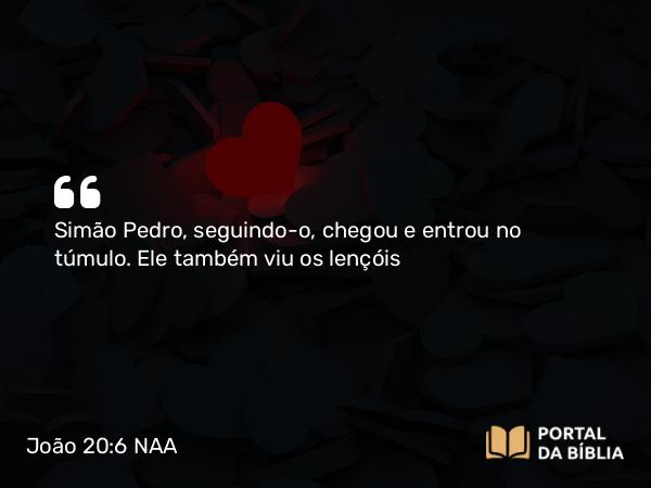 João 20:6 NAA - Simão Pedro, seguindo-o, chegou e entrou no túmulo. Ele também viu os lençóis