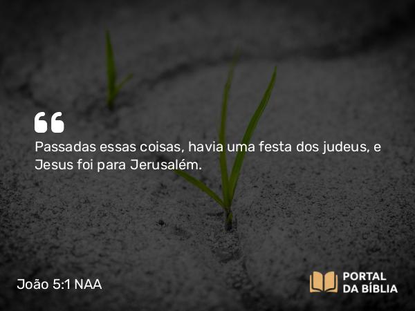 João 5:1 NAA - Passadas essas coisas, havia uma festa dos judeus, e Jesus foi para Jerusalém.