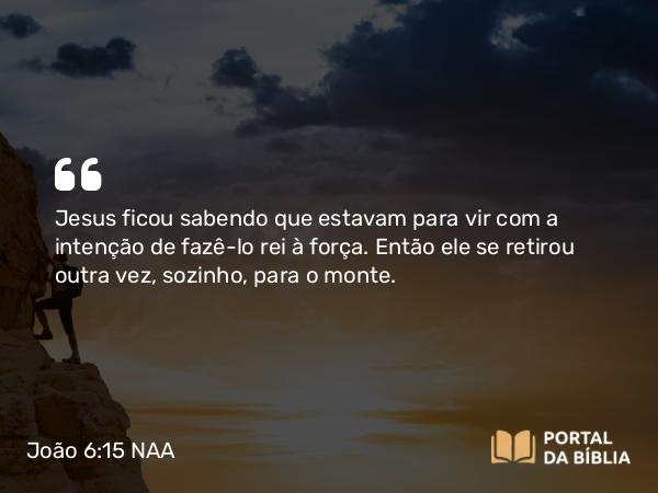 João 6:15-21 NAA - Jesus ficou sabendo que estavam para vir com a intenção de fazê-lo rei à força. Então ele se retirou outra vez, sozinho, para o monte.