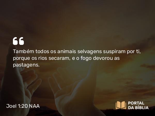 Joel 1:20 NAA - Também todos os animais selvagens suspiram por ti, porque os rios secaram, e o fogo devorou as pastagens.