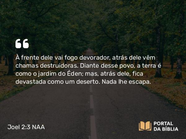 Joel 2:3 NAA - À frente dele vai fogo devorador, atrás dele vêm chamas destruidoras. Diante desse povo, a terra é como o jardim do Éden; mas, atrás dele, fica devastada como um deserto. Nada lhe escapa.