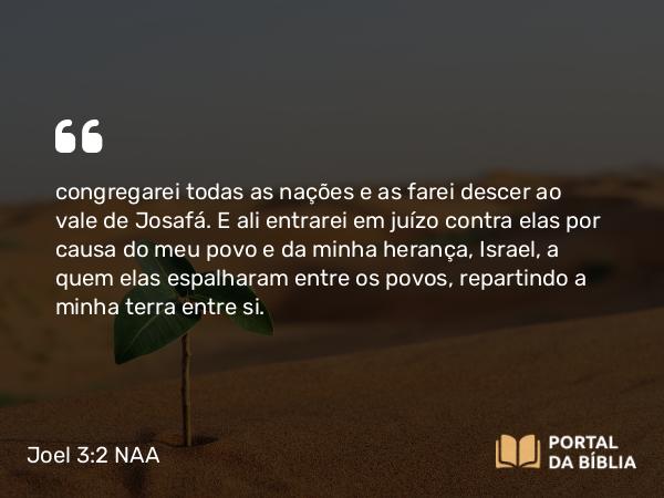 Joel 3:2 NAA - congregarei todas as nações e as farei descer ao vale de Josafá. E ali entrarei em juízo contra elas por causa do meu povo e da minha herança, Israel, a quem elas espalharam entre os povos, repartindo a minha terra entre si.