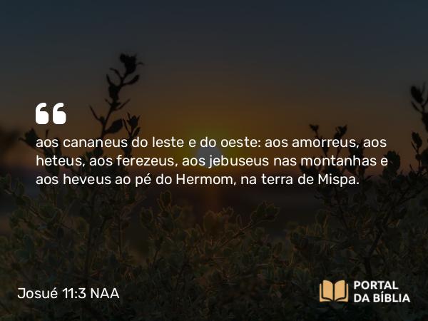 Josué 11:3 NAA - aos cananeus do leste e do oeste: aos amorreus, aos heteus, aos ferezeus, aos jebuseus nas montanhas e aos heveus ao pé do Hermom, na terra de Mispa.