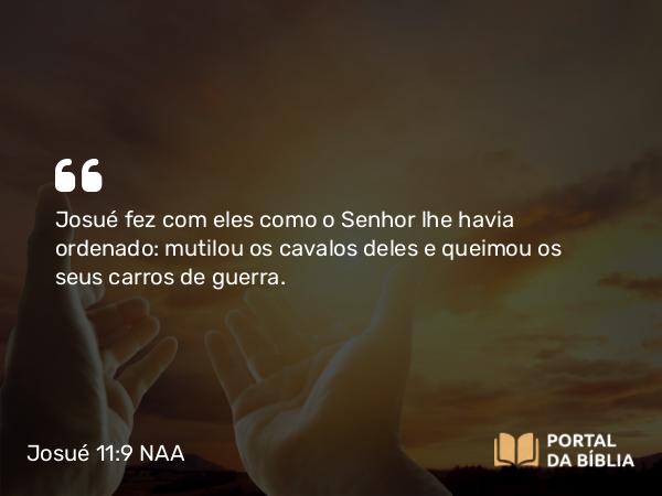 Josué 11:9 NAA - Josué fez com eles como o Senhor lhe havia ordenado: mutilou os cavalos deles e queimou os seus carros de guerra.