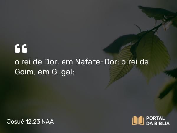 Josué 12:23 NAA - o rei de Dor, em Nafate-Dor; o rei de Goim, em Gilgal;