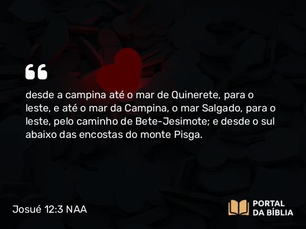 Josué 12:3 NAA - desde a campina até o mar de Quinerete, para o leste, e até o mar da Campina, o mar Salgado, para o leste, pelo caminho de Bete-Jesimote; e desde o sul abaixo das encostas do monte Pisga.