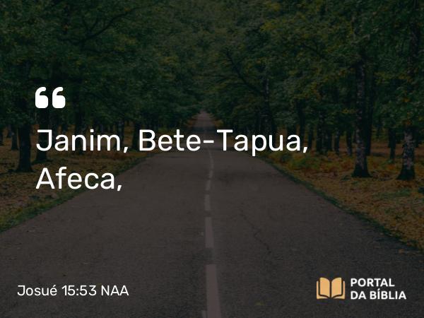 Josué 15:53 NAA - Janim, Bete-Tapua, Afeca,