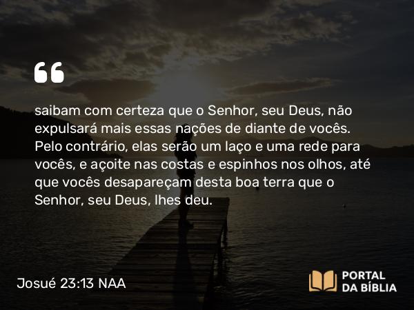 Josué 23:13 NAA - saibam com certeza que o Senhor, seu Deus, não expulsará mais essas nações de diante de vocês. Pelo contrário, elas serão um laço e uma rede para vocês, e açoite nas costas e espinhos nos olhos, até que vocês desapareçam desta boa terra que o Senhor, seu Deus, lhes deu.