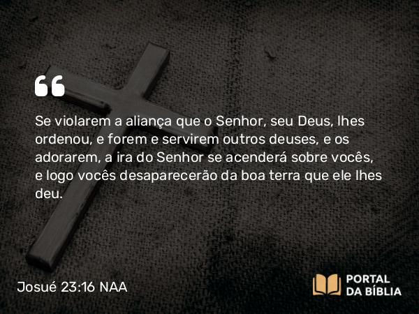 Josué 23:16 NAA - Se violarem a aliança que o Senhor, seu Deus, lhes ordenou, e forem e servirem outros deuses, e os adorarem, a ira do Senhor se acenderá sobre vocês, e logo vocês desaparecerão da boa terra que ele lhes deu.