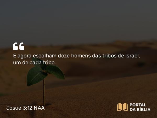 Josué 3:12 NAA - E agora escolham doze homens das tribos de Israel, um de cada tribo.