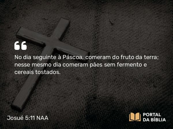 Josué 5:11 NAA - No dia seguinte à Páscoa, comeram do fruto da terra; nesse mesmo dia comeram pães sem fermento e cereais tostados.