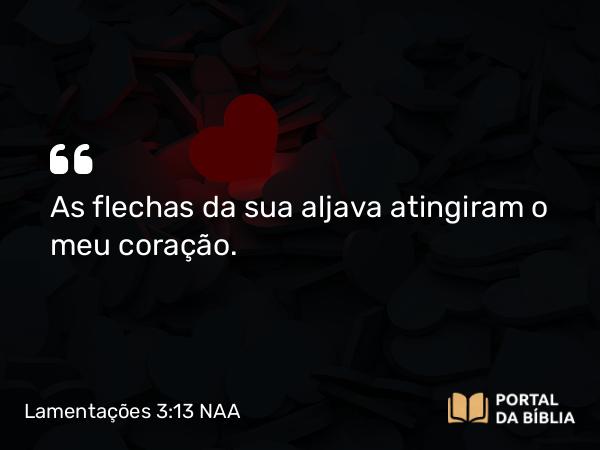 Lamentações 3:13 NAA - As flechas da sua aljava atingiram o meu coração.