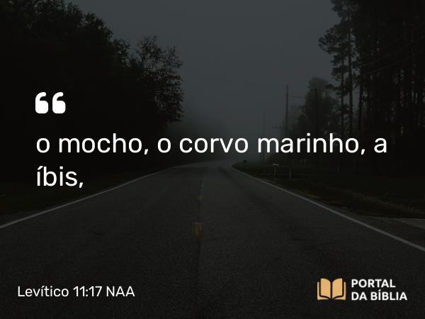 Levítico 11:17 NAA - o mocho, o corvo marinho, a íbis,