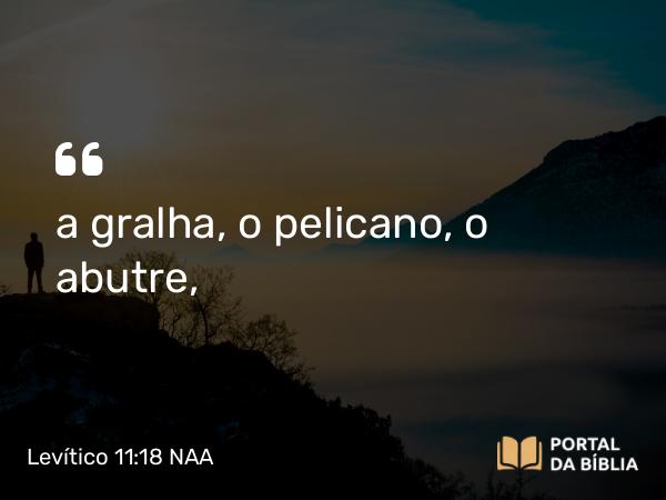 Levítico 11:18 NAA - a gralha, o pelicano, o abutre,