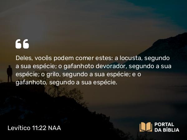 Levítico 11:22 NAA - Deles, vocês podem comer estes: a locusta, segundo a sua espécie; o gafanhoto devorador, segundo a sua espécie; o grilo, segundo a sua espécie; e o gafanhoto, segundo a sua espécie.