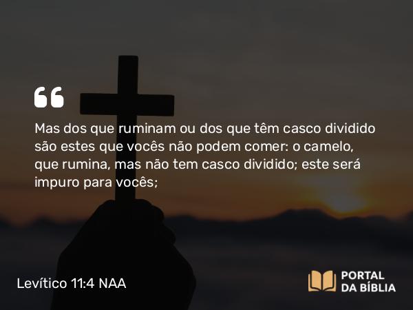 Levítico 11:4 NAA - Mas dos que ruminam ou dos que têm casco dividido são estes que vocês não podem comer: o camelo, que rumina, mas não tem casco dividido; este será impuro para vocês;