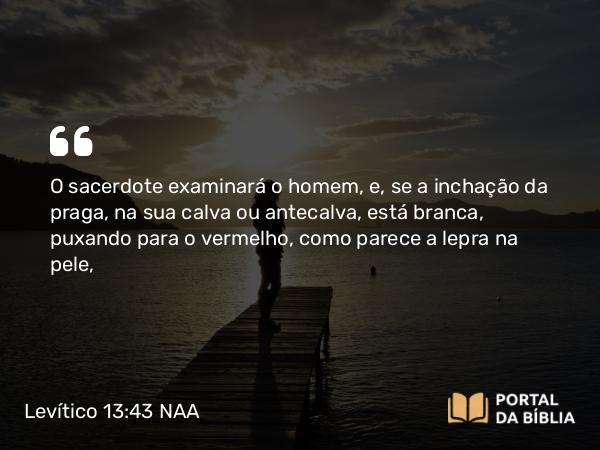 Levítico 13:43 NAA - O sacerdote examinará o homem, e, se a inchação da praga, na sua calva ou antecalva, está branca, puxando para o vermelho, como parece a lepra na pele,