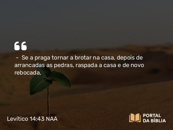 Levítico 14:43 NAA - — Se a praga tornar a brotar na casa, depois de arrancadas as pedras, raspada a casa e de novo rebocada,