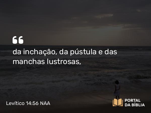 Levítico 14:56 NAA - da inchação, da pústula e das manchas lustrosas,