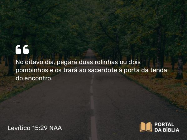 Levítico 15:29 NAA - No oitavo dia, pegará duas rolinhas ou dois pombinhos e os trará ao sacerdote à porta da tenda do encontro.