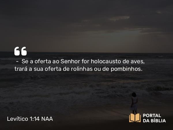 Levítico 1:14 NAA - — Se a oferta ao Senhor for holocausto de aves, trará a sua oferta de rolinhas ou de pombinhos.