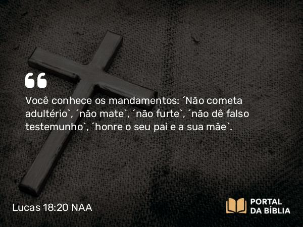 Lucas 18:20 NAA - Você conhece os mandamentos: 