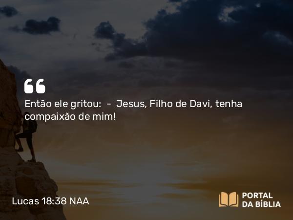 Lucas 18:38 NAA - Então ele gritou: — Jesus, Filho de Davi, tenha compaixão de mim!