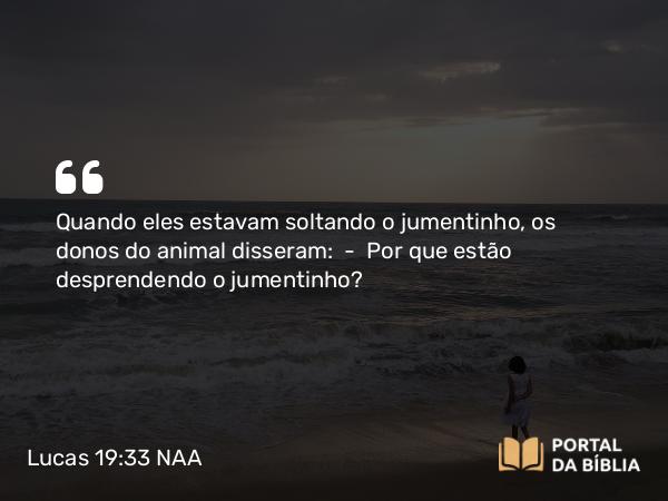 Lucas 19:33 NAA - Quando eles estavam soltando o jumentinho, os donos do animal disseram: — Por que estão desprendendo o jumentinho?