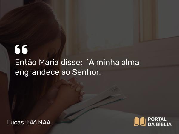 Lucas 1:46-55 NAA - Então Maria disse: 