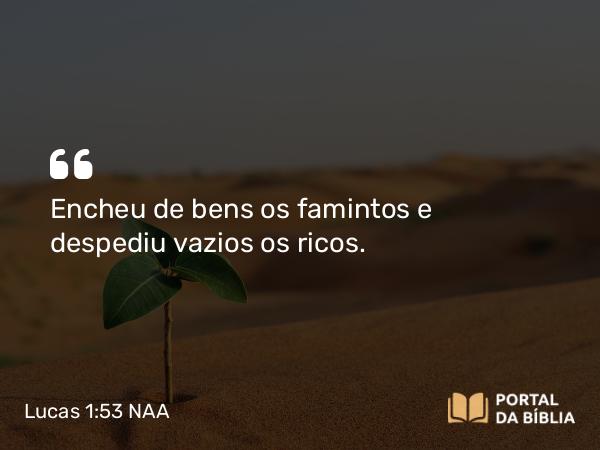 Lucas 1:53 NAA - Encheu de bens os famintos e despediu vazios os ricos.