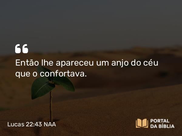 Lucas 22:43 NAA - Então lhe apareceu um anjo do céu que o confortava.