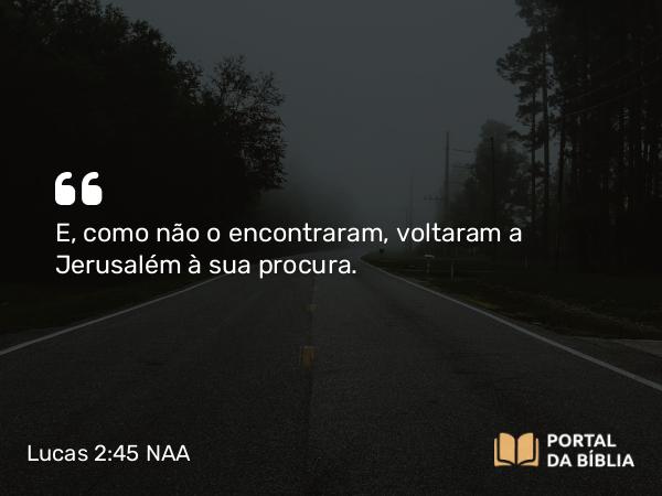 Lucas 2:45 NAA - E, como não o encontraram, voltaram a Jerusalém à sua procura.