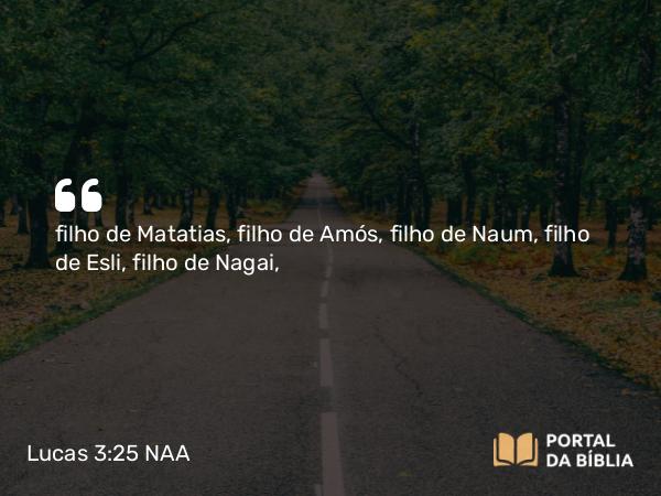 Lucas 3:25 NAA - filho de Matatias, filho de Amós, filho de Naum, filho de Esli, filho de Nagai,