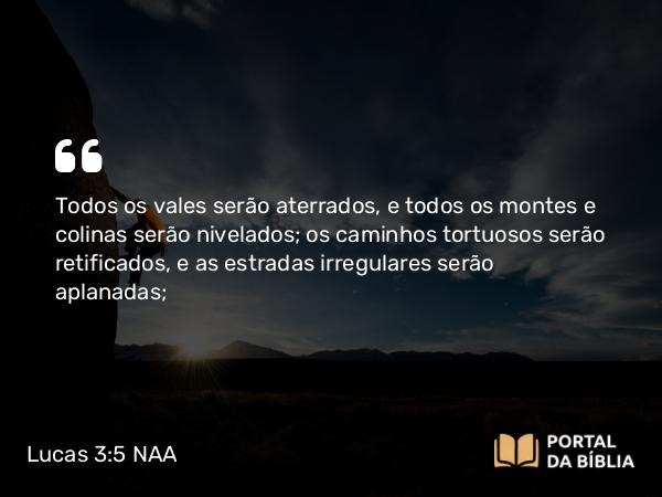 Lucas 3:5 NAA - Todos os vales serão aterrados, e todos os montes e colinas serão nivelados; os caminhos tortuosos serão retificados, e as estradas irregulares serão aplanadas;