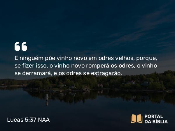 Lucas 5:37 NAA - E ninguém põe vinho novo em odres velhos, porque, se fizer isso, o vinho novo romperá os odres, o vinho se derramará, e os odres se estragarão.