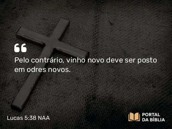 Lucas 5:38 NAA - Pelo contrário, vinho novo deve ser posto em odres novos.