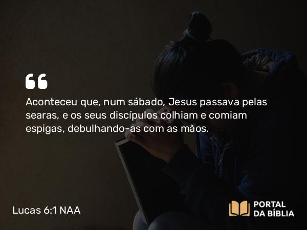 Lucas 6:1-5 NAA - Aconteceu que, num sábado, Jesus passava pelas searas, e os seus discípulos colhiam e comiam espigas, debulhando-as com as mãos.