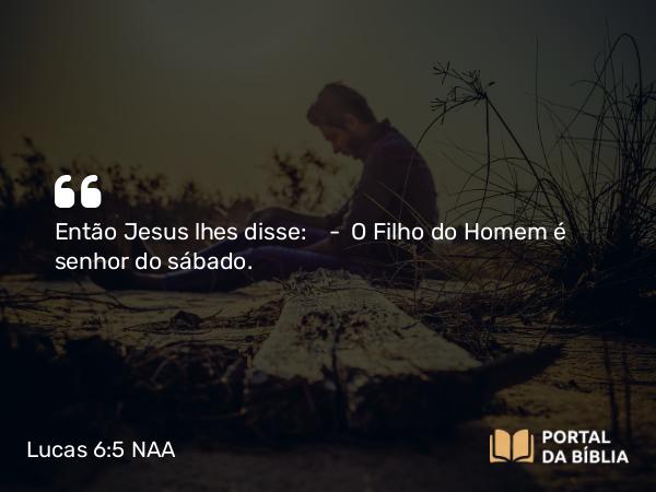 Lucas 6:5 NAA - Então Jesus lhes disse: — O Filho do Homem é senhor do sábado.