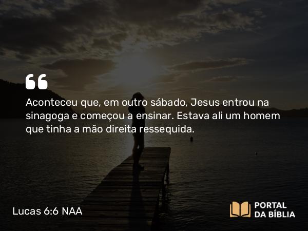 Lucas 6:6-11 NAA - Aconteceu que, em outro sábado, Jesus entrou na sinagoga e começou a ensinar. Estava ali um homem que tinha a mão direita ressequida.