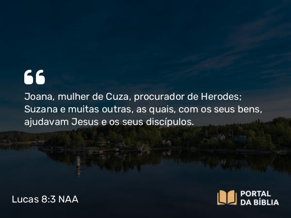 Lucas 8:3 NAA - Joana, mulher de Cuza, procurador de Herodes; Suzana e muitas outras, as quais, com os seus bens, ajudavam Jesus e os seus discípulos.