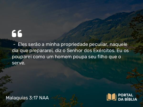 Malaquias 3:17 NAA - — Eles serão a minha propriedade peculiar, naquele dia que prepararei, diz o Senhor dos Exércitos. Eu os pouparei como um homem poupa seu filho que o serve.