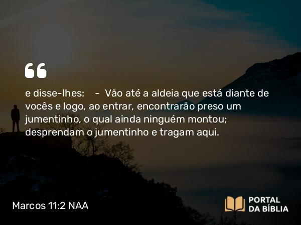 Marcos 11:2 NAA - e disse-lhes: — Vão até a aldeia que está diante de vocês e logo, ao entrar, encontrarão preso um jumentinho, o qual ainda ninguém montou; desprendam o jumentinho e tragam aqui.