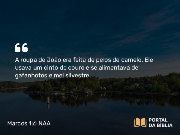 Marcos 1:6 NAA - A roupa de João era feita de pelos de camelo. Ele usava um cinto de couro e se alimentava de gafanhotos e mel silvestre.