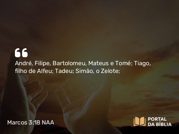 Marcos 3:18 NAA - André, Filipe, Bartolomeu, Mateus e Tomé; Tiago, filho de Alfeu; Tadeu; Simão, o Zelote;