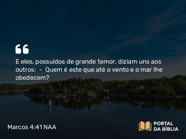 Marcos 4:41 NAA - E eles, possuídos de grande temor, diziam uns aos outros: — Quem é este que até o vento e o mar lhe obedecem?