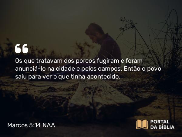 Marcos 5:14 NAA - Os que tratavam dos porcos fugiram e foram anunciá-lo na cidade e pelos campos. Então o povo saiu para ver o que tinha acontecido.