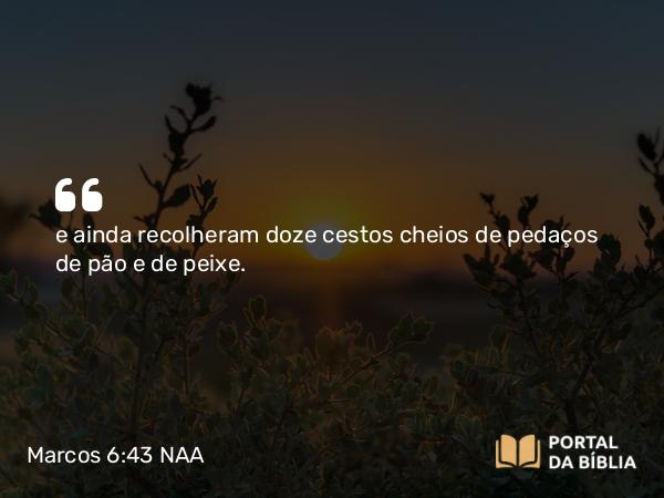 Marcos 6:43 NAA - e ainda recolheram doze cestos cheios de pedaços de pão e de peixe.